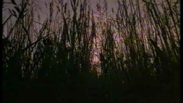 Екатерина Бужинская  - " Свобода"