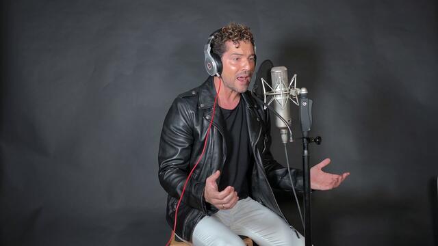 David Bisbal  -  Si tú la quieres