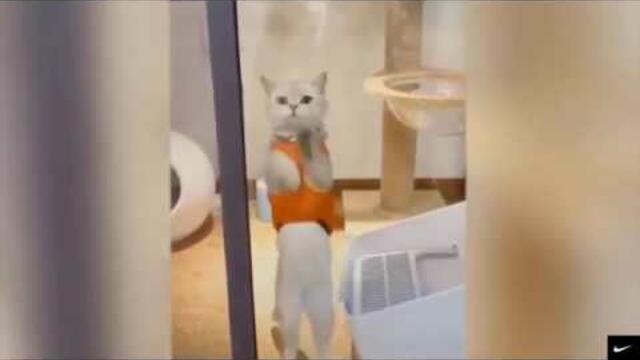 РАЗБУДИ СЕБЕ ХОРОШЕЕ НАСТРОЕНИЕ!!! Позитивчик на весь день