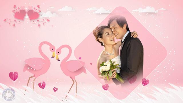 Олег Никонов   -   Соло для двоих