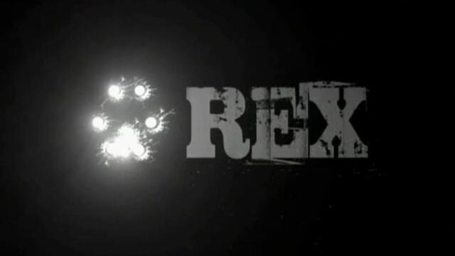 Kommissar Rex s.11 / Комисар Рекс - 11 сезон ep01 part.1 (2007)