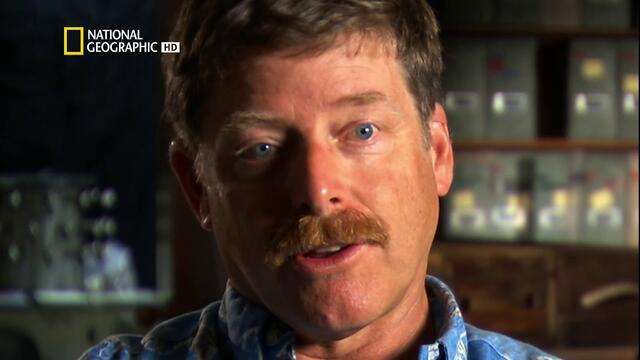 Бедствие Земя: Земетресение 2020 HD бг аудио целия филм