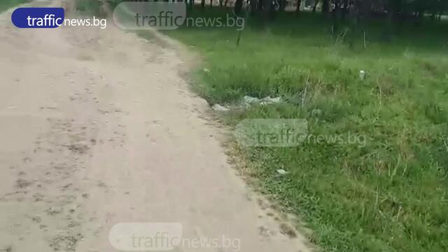 Черни пътища в Пловдив без КПП-та