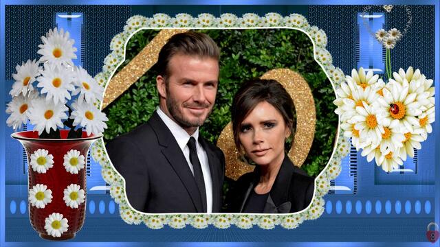 Белые ромашки