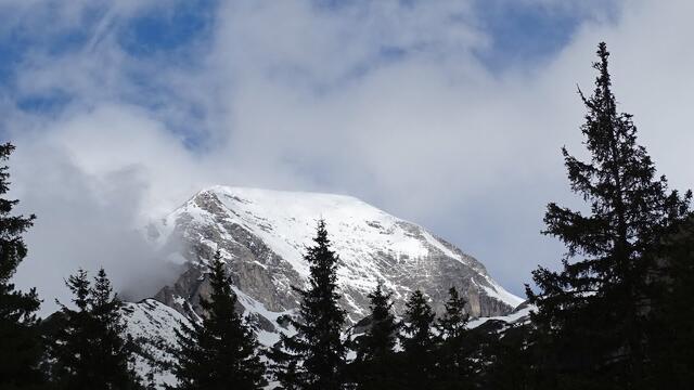 Първите туристи поеха из Пирин отново след 45 дни