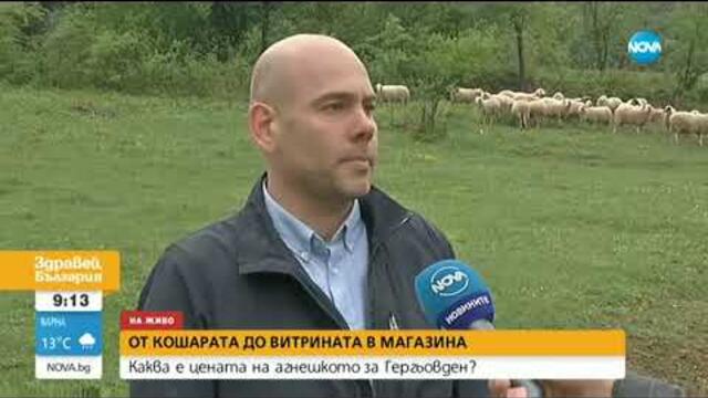 Каква ще бъде цената на българското агнешко за Гергьовден?