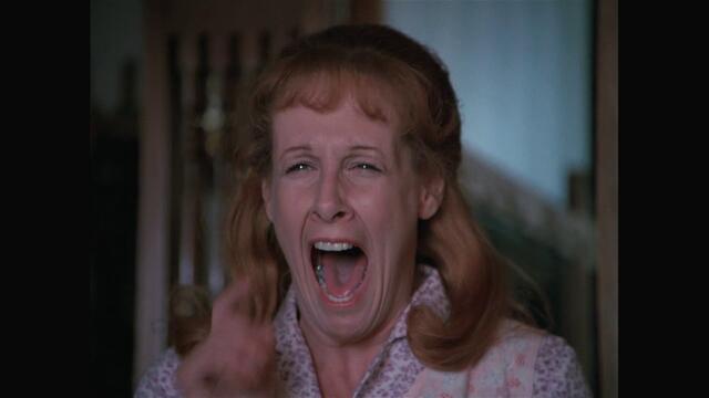 Dark Night of the Scarecrow full movie