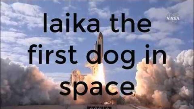DekoTV - Laika the first dog in space