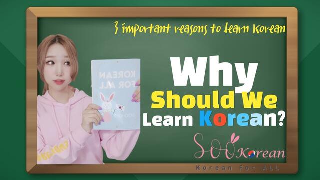 Realistic Reasons Why you should learn Korean - Reasons to learn Korean - should you learn Korean?