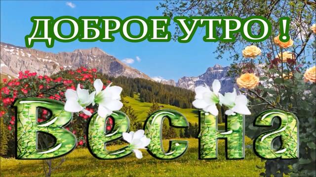 ДОБРОЕ УТРО | ХОРОШЕГО ДНЯ  | ПРИЯТНОГО ВЕЧЕРА
