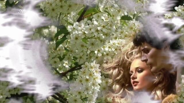 Андрей Рубежов  -  ЧЕРЁМУХА