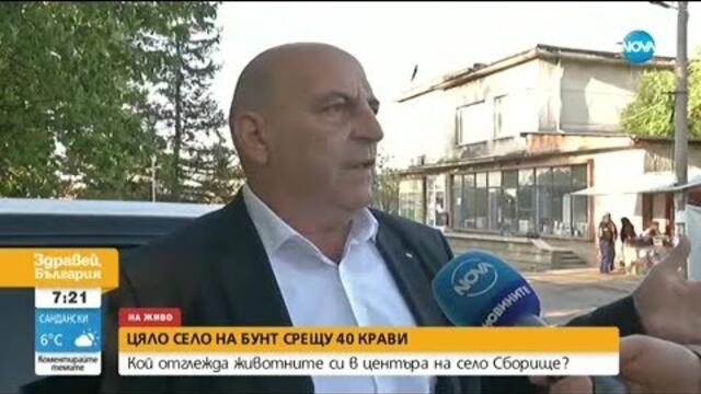 Село се вдигна на бунт срещу 40 крави