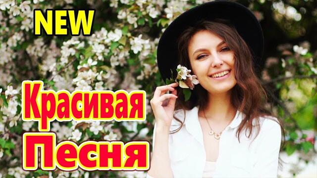 Алексей Раджабов  -  ВИШНЁВОЕ ВРЕМЯ