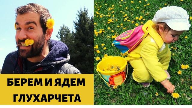 БЕРЕМ И ЯДЕМ ГЛУХАРЧЕТА| ЕЛЕКСИР ЗА ДЪЛГОЛЕТИЕ|ДЪГА |КЪДЕ Е ГЕОГРАФСКИЯ ЦЕНТЪР НА БЪЛГАРИЯ? УЗАНА #2