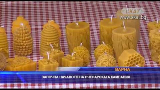 Започна началото на пчеларската година