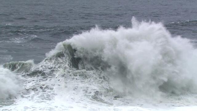 Лаура Дедович  -  Колечко