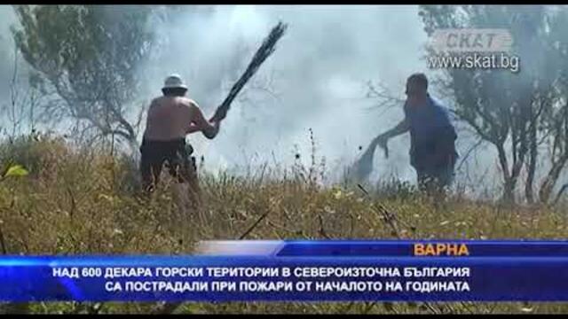 Над 600 декара горски територии в Североизточна България са пострадали от пожари