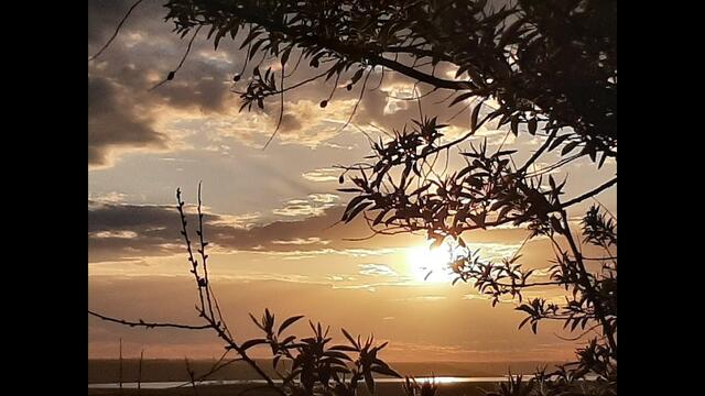 Орлов Сергей  -  Стань мне желанной