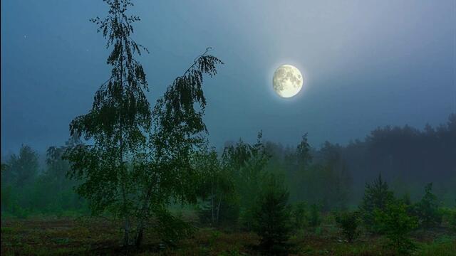 Александр Забазный  -  В Лунную Ночь!