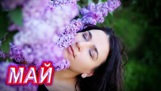 Кирилл Потылицын  -  Сиреневый МАЙ