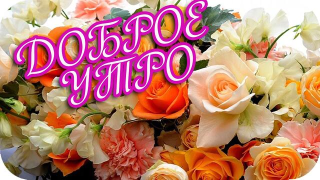 Доброе утро! ❤️ Пусть этот день начнется с теплых слов! ❤️