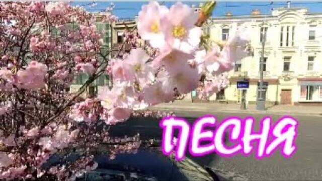 Добрый вечер! ПІСНЯ | Як тебе не любити, Києве мій