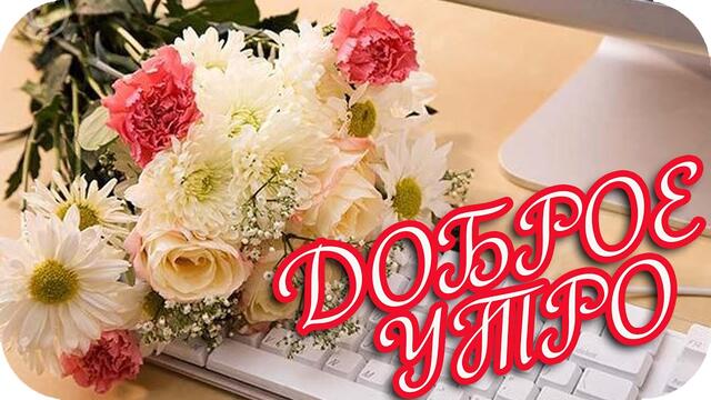 Доброе утро! ❤️ Всем, кто сидит у Интернета -  позитива и привета! ❤️