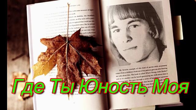 Славянин   -   Где Ты Юность Моя!