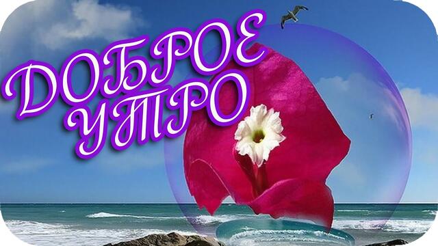 Доброе утро! ❤️ Я хочу вам лето подарить... ❤️
