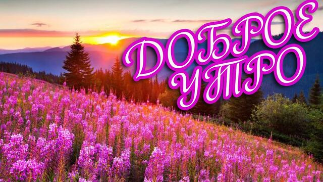 Доброе утро! ❤️ Пусть светом наполняется душа!