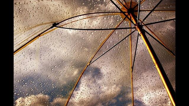 ДОЖДИ, ДОЖДИКИ,ДОЖДИЩИ...