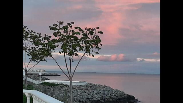 Сергей Орлов -- Вскружила голову...