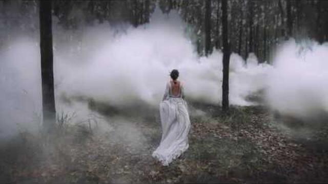 Алексей Дорохов  -  Капли Дождя