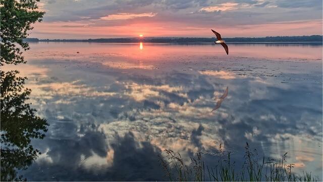Евгений Гранд  -  Как мне хочется быть с тобой рядом