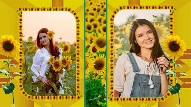 Подсолнухи!