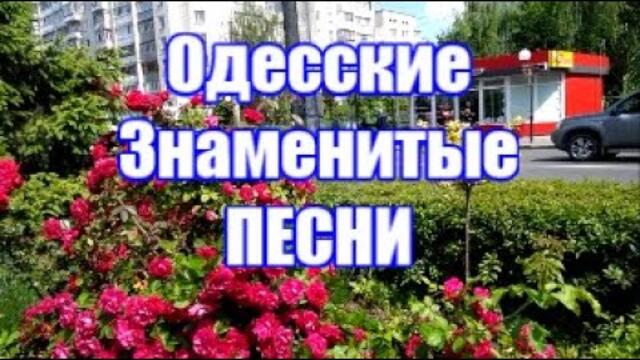 Одесские Знаменитые Песни | ЦЫПЛЁНОК ЖАРЕНЫЙ и ДРУГИЕ |