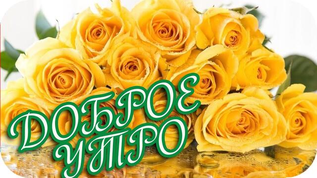 Доброе утро! ❤️ Я желаю счастья и тепла! ❤️
