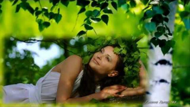 Николай Свинцов  -  Ветер бродяга в березу влюбился...