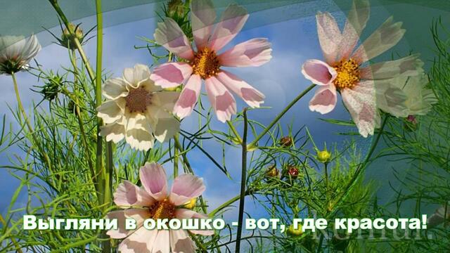 С ДОБРЫМ УТРОМ!  Пожелание доброго утра и доброго дня!