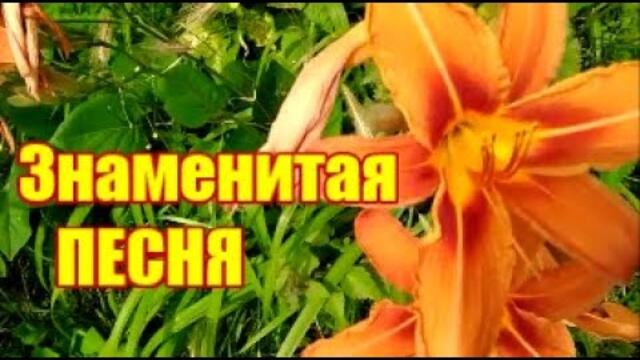 ГДЕ ЭТА УЛИЦА, ГДЕ ЭТОТ ДОМ!