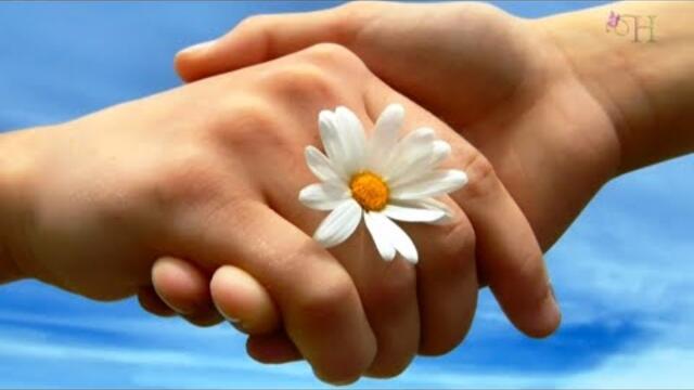 Валерий Власов  -  Ромашка Белая