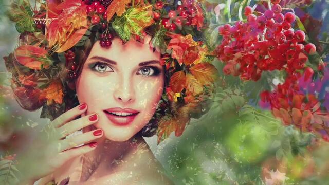 Александр Закшевский  -  РЯБИНОВЫЕ НОЧИ