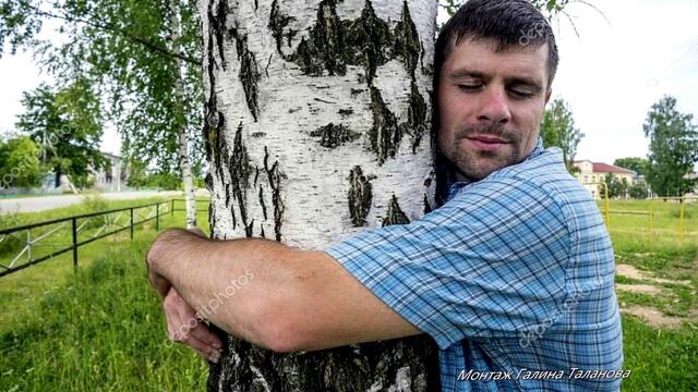 Белые березы, вы как материнские слезы...