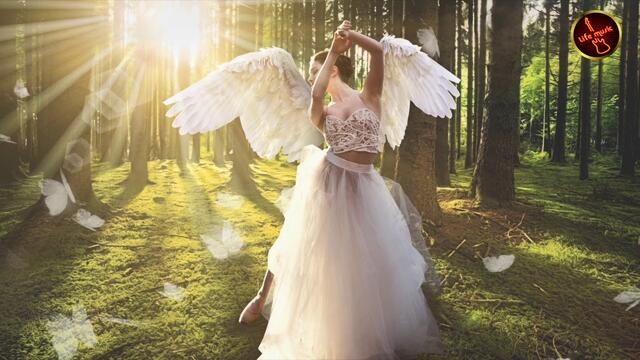 Cvetocek7  -  Крылья мои