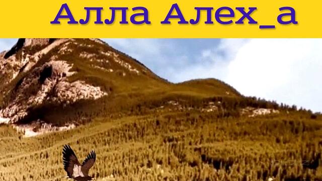 Распахните окошко в лето