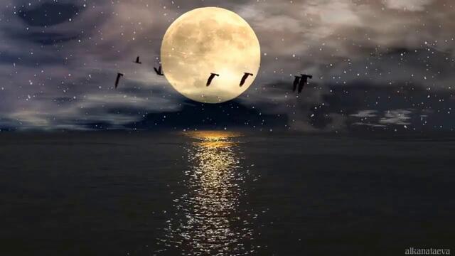 Ю. Рыбчинский   -   В Засухин  КУКУШКА