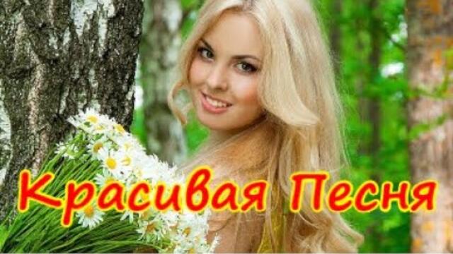 Добрый Вечер! Красивая Песня | ТЫ ИГРАЙ, МОЯ СКРИПКА!