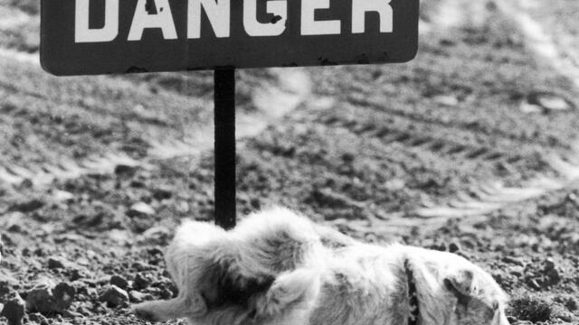 🔝 Blues n Trouble Band 🔝 Sleeping in the Ground 🔝