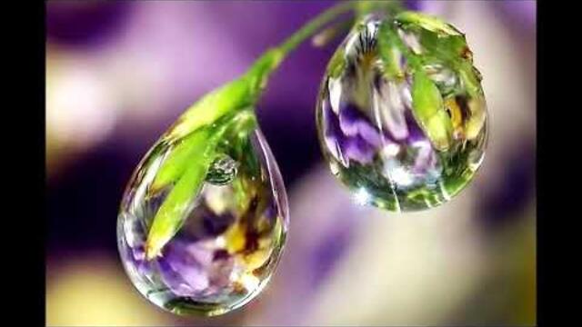 Музыка Сергея Чекалина  -  Утренняя свежесть.