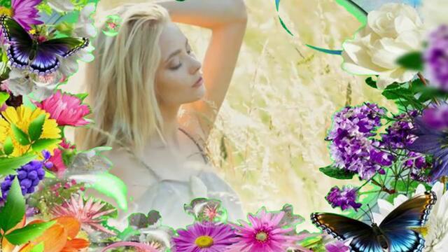 Сергей Орлов  -  Ты меня не любишь не жалеешь